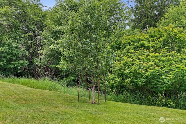 158 S Fork Rd, Raymond, WA 98577 - view of grassy yard