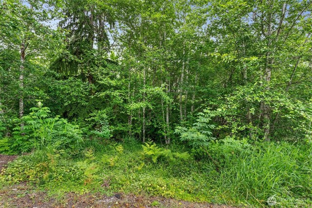 158 S Fork Rd, Raymond, WA 98577 - view of tree filled area