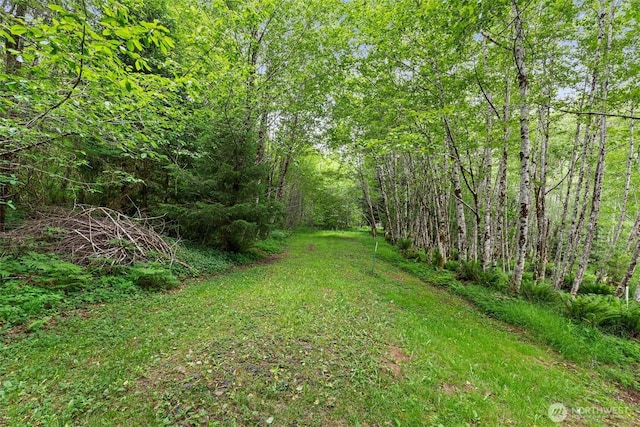 158 S Fork Rd, Raymond, WA 98577 - view of yard with a wooded view