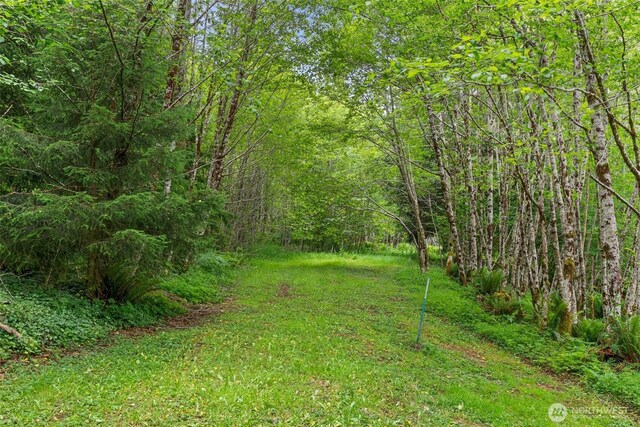 158 S Fork Rd, Raymond, WA 98577 - view of yard featuring a wooded view