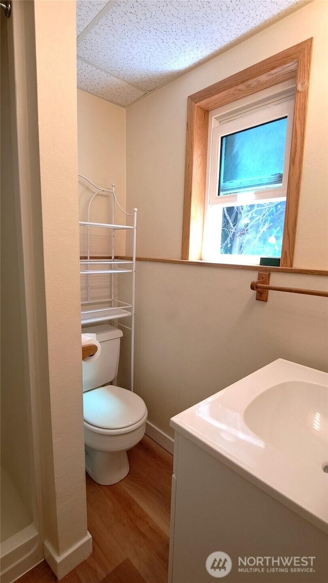 3410 Forest Ct, Bellingham, WA 98225 - bathroom featuring wood finished floors and vanity