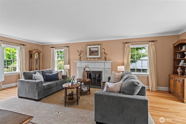 4116 N 39th St, Tacoma, WA 98407 - living area with light wood-type flooring and a glass covered fireplace