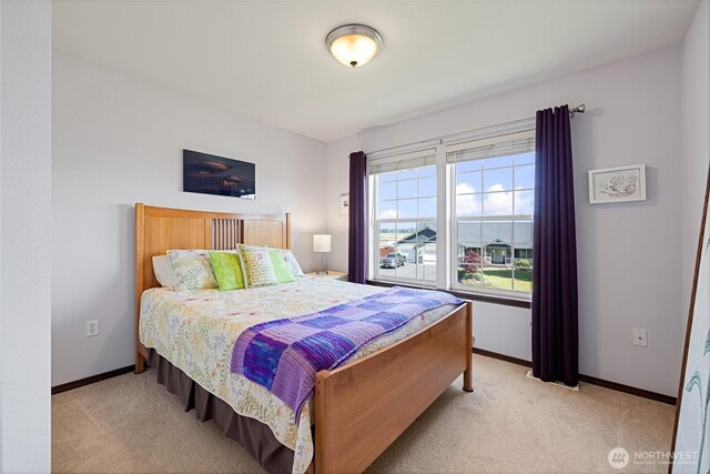 2521 Scatter Creek Ct SW, Tenino, WA 98589 - photo 24