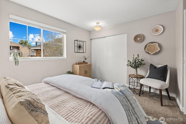 5300 Harbour Pointe Blvd Unit 311B, Mukilteo, WA 98275 - bedroom featuring carpet and a closet