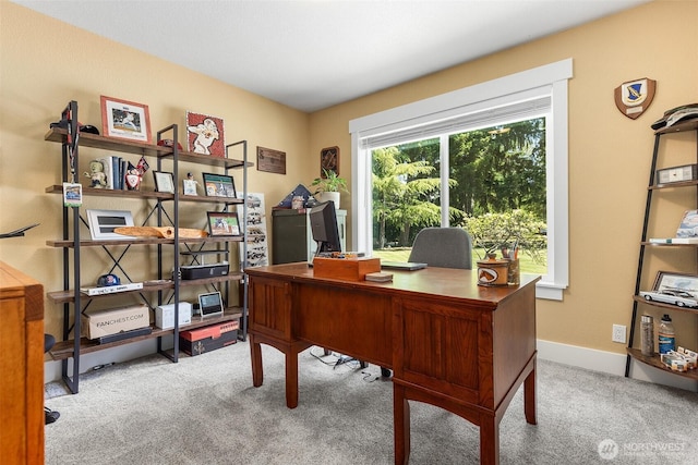 5810 246th St E, Graham, WA 98338 - office featuring carpet floors and baseboards