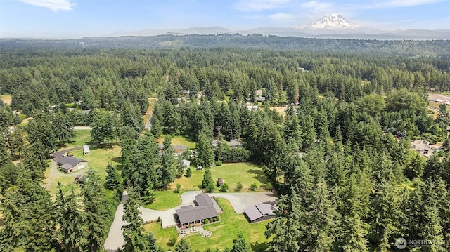 5810 246th St E, Graham, WA 98338 - bird's eye view of a heavily wooded area
