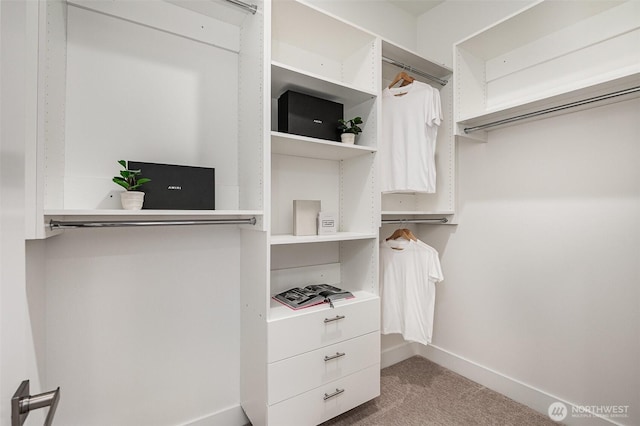 7731 NE 175th St Unit 102, Kenmore, WA 98028 - spacious closet with carpet flooring