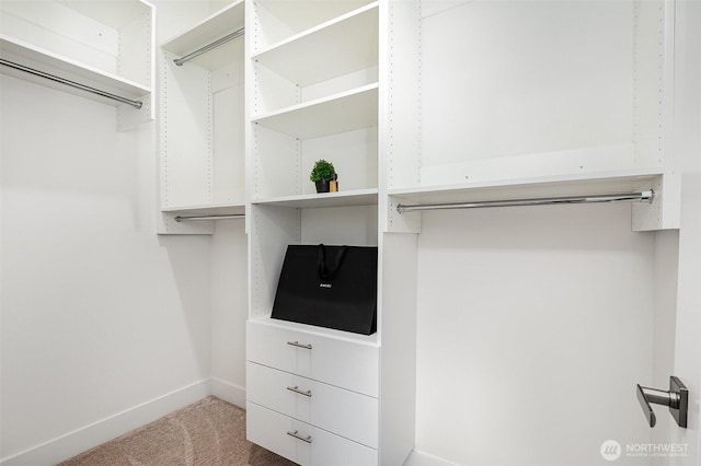 7731 NE 175th St Unit 102, Kenmore, WA 98028 - walk in closet featuring carpet floors