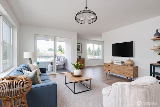 1000 NE 88th St Unit 303, Seattle, WA 98115 - living area with wood finished floors and baseboards