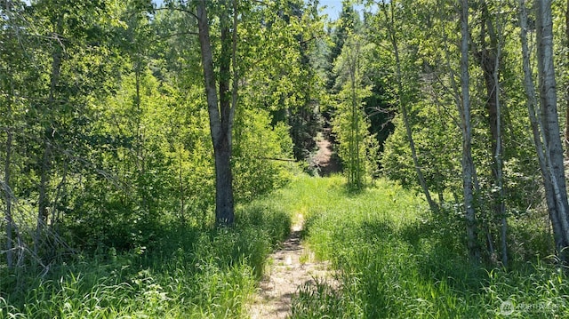 1712 Nelson Siding Rd, Cle Elum, WA 98922 - view of wooded area
