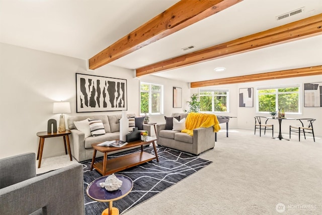 21031 NE 17th St, Sammamish, WA 98074 - photo 23