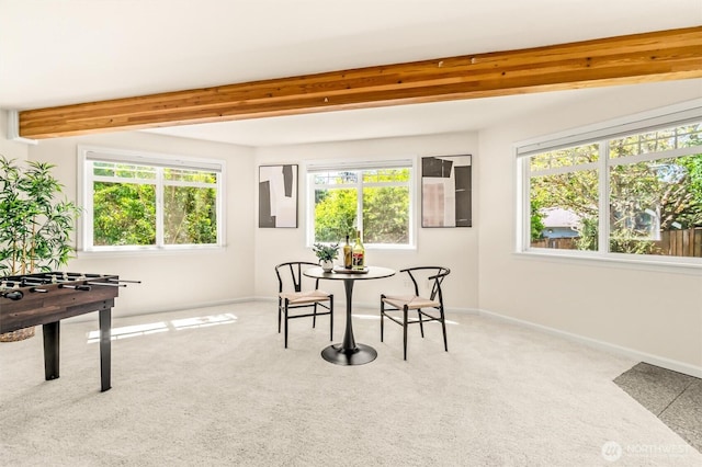 21031 NE 17th St, Sammamish, WA 98074 - photo 25