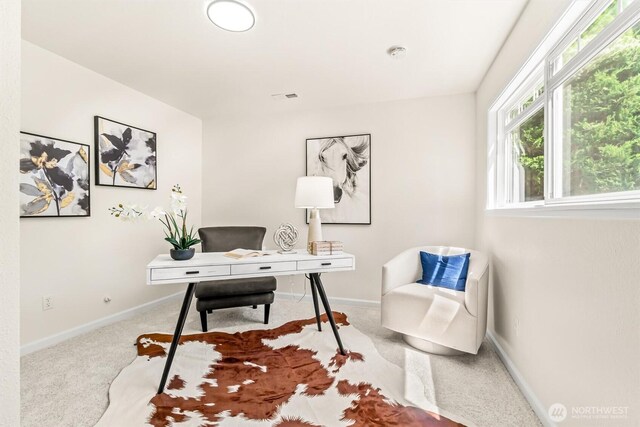 21031 NE 17th St, Sammamish, WA 98074 - photo 26