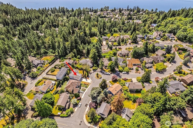 21031 NE 17th St, Sammamish, WA 98074 - photo 38