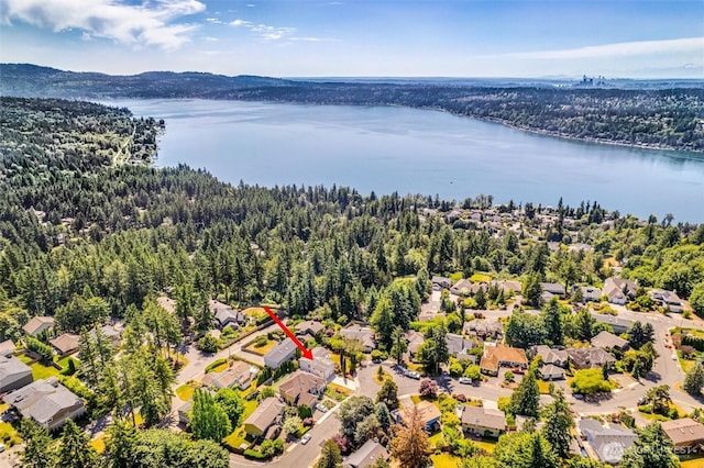 21031 NE 17th St, Sammamish, WA 98074 - photo 40