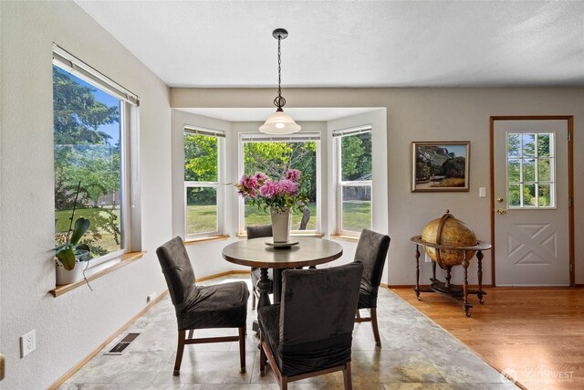 16325 Tareyton Ln SE, Yelm, WA 98597 - dining space with healthy amount of natural light and wood finished floors