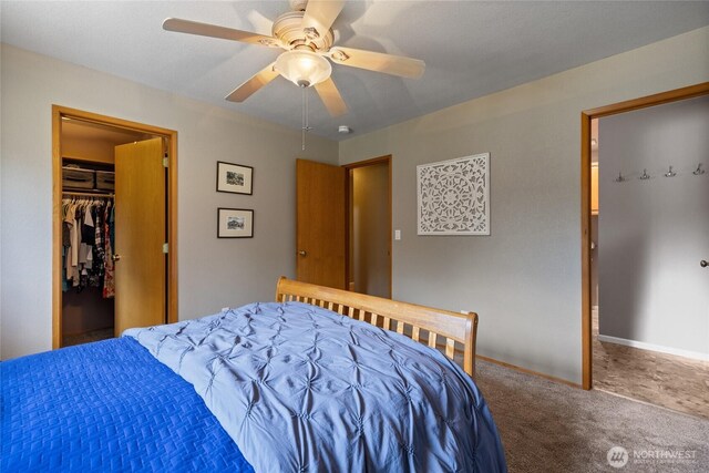 16325 Tareyton Ln SE, Yelm, WA 98597 - carpeted bedroom with a walk in closet, a ceiling fan, and a closet