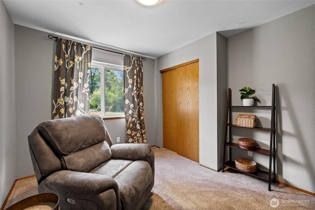 16325 Tareyton Ln SE, Yelm, WA 98597 - living area featuring carpet floors and baseboards