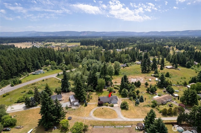 16325 Tareyton Ln SE, Yelm, WA 98597 - aerial view of property's location with a mountain backdrop and a heavily wooded area