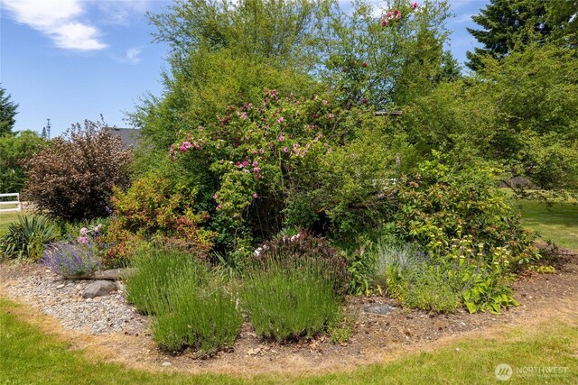 16325 Tareyton Ln SE, Yelm, WA 98597 - view of undeveloped land