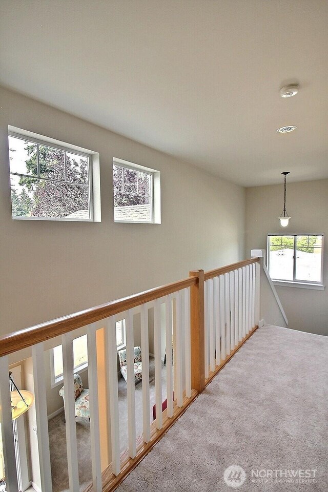 2027 NE 25th Pl, Renton, WA 98056 - photo 17