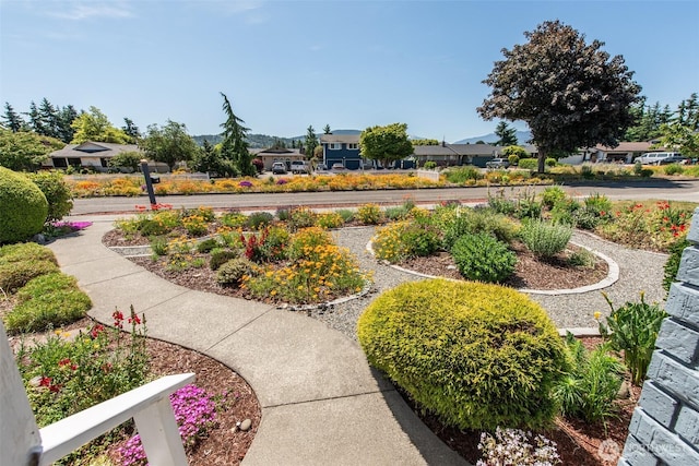 516 E Willow St, Sequim, WA 98382 - view of community with a residential view