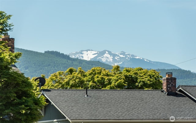 516 E Willow St, Sequim, WA 98382 - mountain view