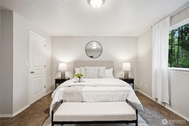 18401 Rampart Dr SE, Yelm, WA 98597 - bedroom with carpet flooring and baseboards