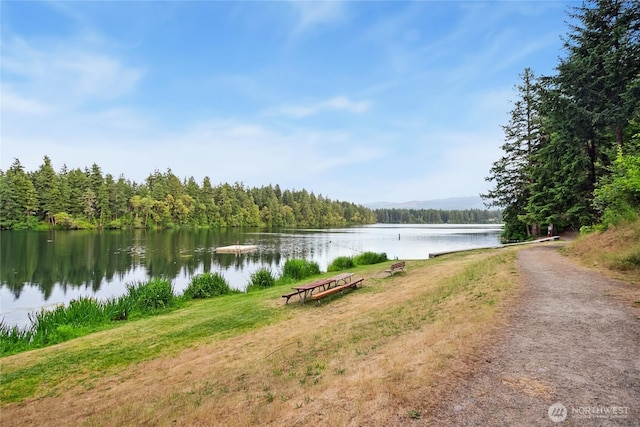 18401 Rampart Dr SE, Yelm, WA 98597 - water view with a forest