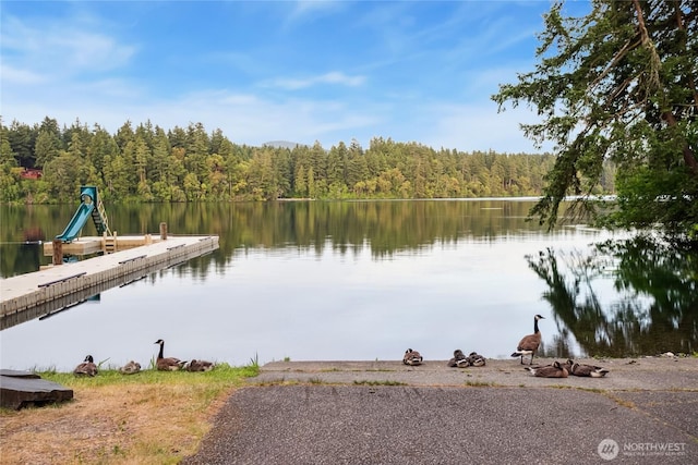 18401 Rampart Dr SE, Yelm, WA 98597 - dock area featuring a view of trees and a water view