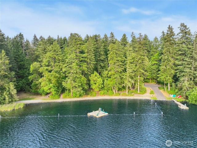 18401 Rampart Dr SE, Yelm, WA 98597 - water view