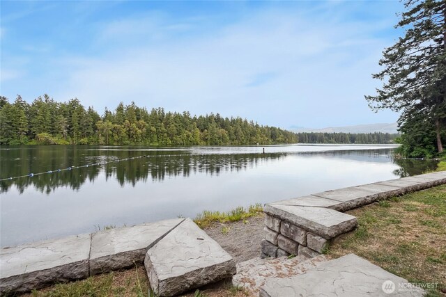 18401 Rampart Dr SE, Yelm, WA 98597 - dock featuring a forest view and a water view