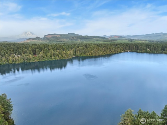 18401 Rampart Dr SE, Yelm, WA 98597 - water view with a heavily wooded area and mountains