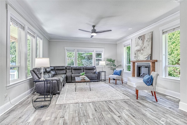 87 N Mary Ave, East Wenatchee, WA 98802 - living room with crown molding, wood finished floors, a ceiling fan, and a fireplace with raised hearth