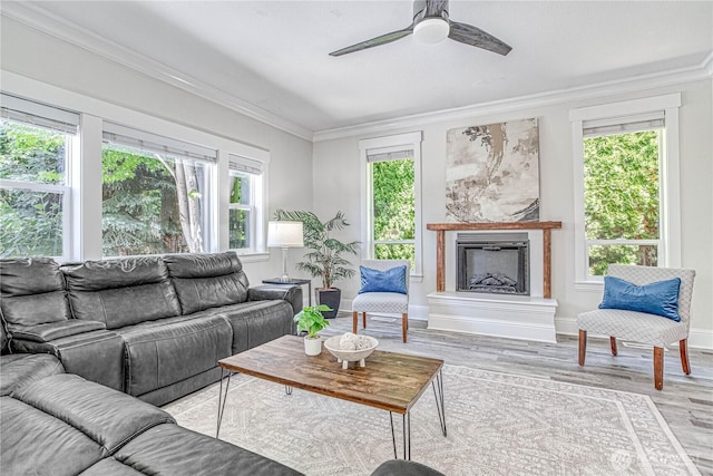 87 N Mary Ave, East Wenatchee, WA 98802 - living room featuring wood finished floors, ornamental molding, a fireplace with raised hearth, and ceiling fan