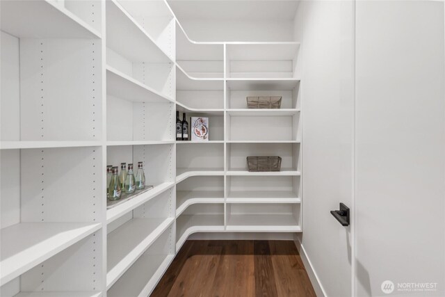 10204NE 43rd St, Kirkland, WA 98033 - view of pantry