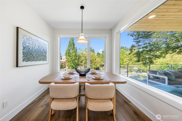 10204NE 43rd St, Kirkland, WA 98033 - dining space with dark wood-type flooring and healthy amount of natural light