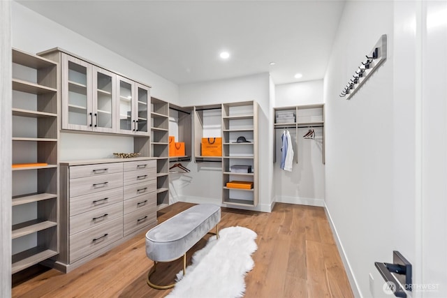 10204NE 43rd St, Kirkland, WA 98033 - walk in closet featuring light wood-style floors