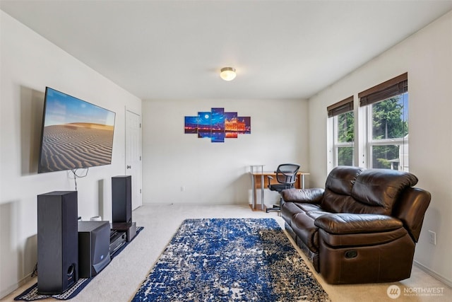 29709 217th Pl SE, Kent, WA 98042 - view of carpeted living room