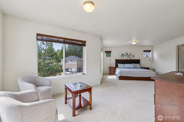 29709 217th Pl SE, Kent, WA 98042 - bedroom with light carpet