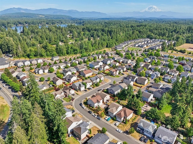 29709 217th Pl SE, Kent, WA 98042 - aerial view of property and surrounding area featuring a heavily wooded area and a mountainous background