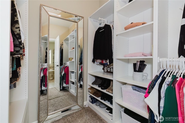 11928 Mayfair Ave SW, Port Orchard, WA 98367 - walk in closet with carpet flooring