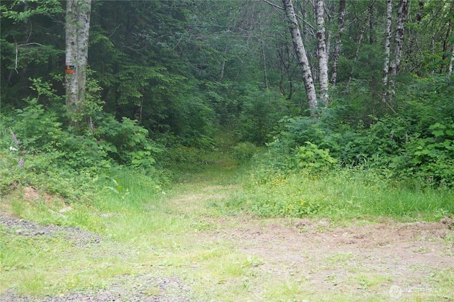 0OFFOF Panhandle Rd, Hoquiam, WA 98550