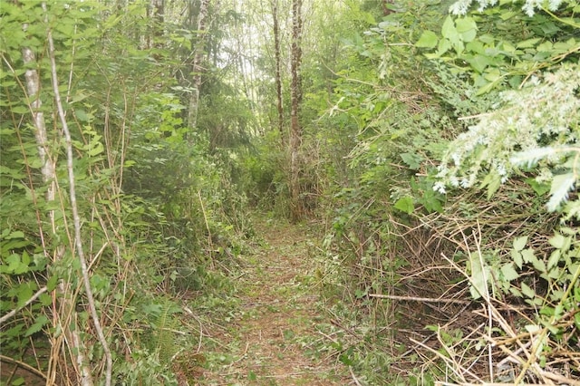 0OFFOF Panhandle Rd, Hoquiam, WA 98550