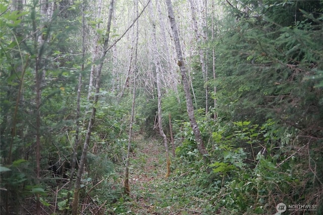 0OFFOF Panhandle Rd, Hoquiam, WA 98550