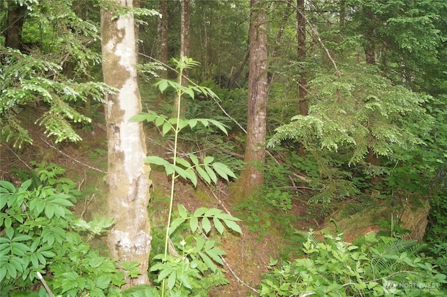 0OFFOF Panhandle Rd, Hoquiam, WA 98550