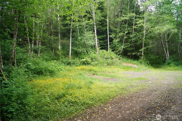 0OFFOF Panhandle Rd, Hoquiam, WA 98550