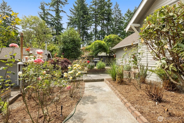 13016 8th Pl SW, Burien, WA 98146 - view of yard