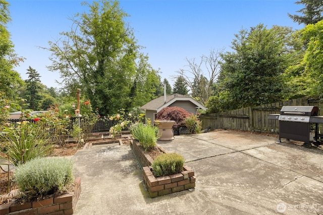 13016 8th Pl SW, Burien, WA 98146 - view of patio with a vegetable garden and a grill