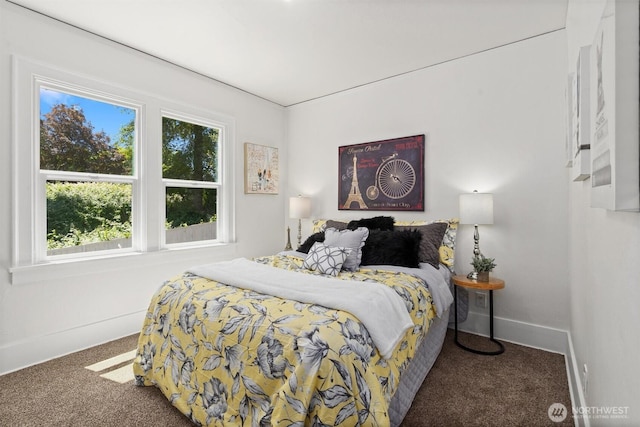 29260 Military Rd S, Federal Way, WA 98003 - bedroom featuring multiple windows and carpet